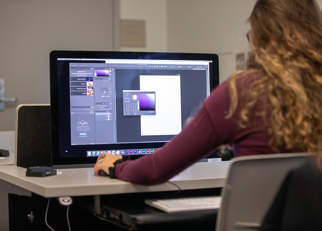 Image is of woman working on a computer. You see the screen and her back is to the camera.